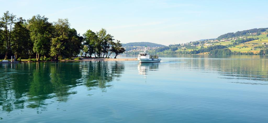 Seehotel Delphin Meisterschwanden Luaran gambar