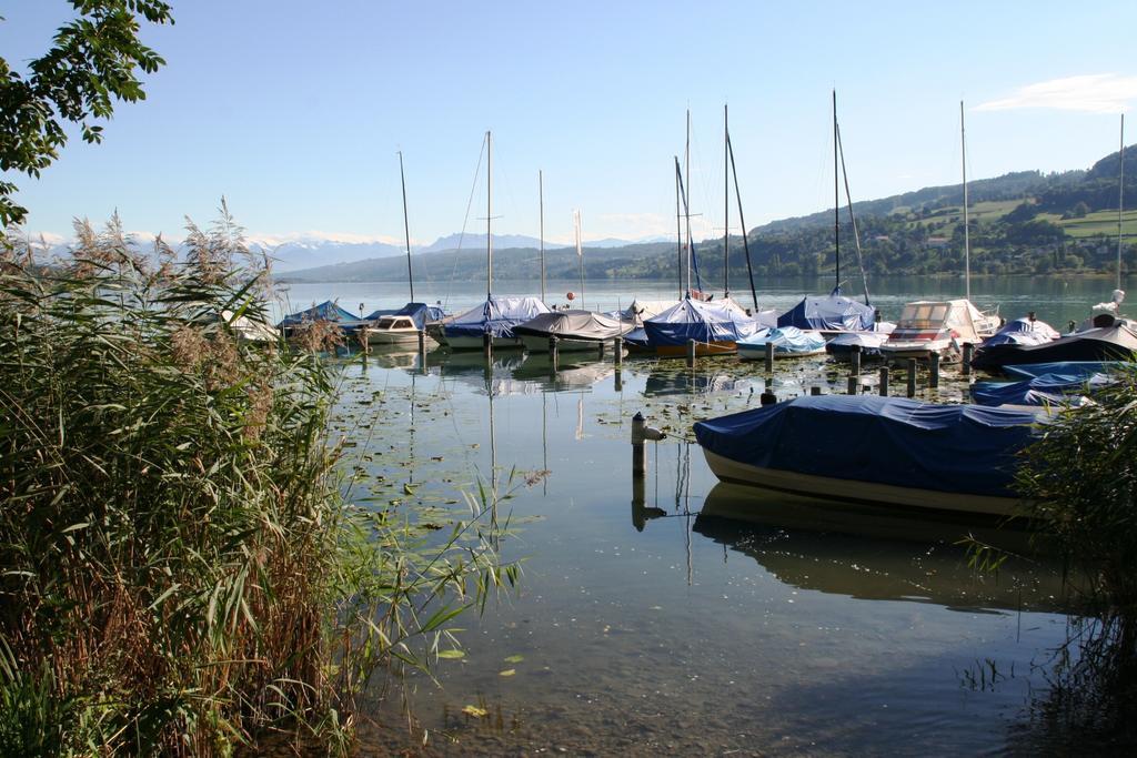 Seehotel Delphin Meisterschwanden Luaran gambar