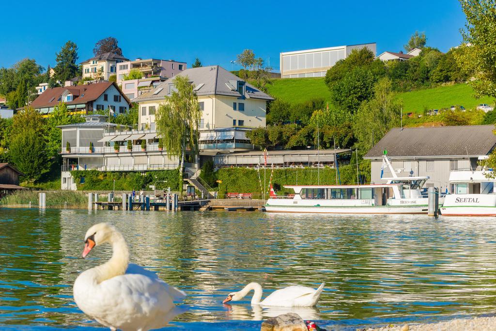 Seehotel Delphin Meisterschwanden Luaran gambar